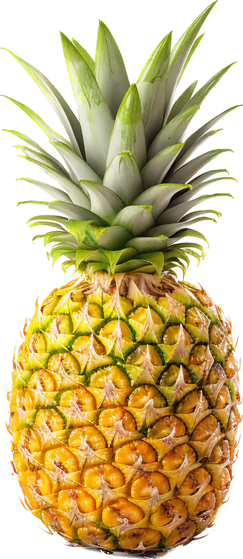 vers-fruit